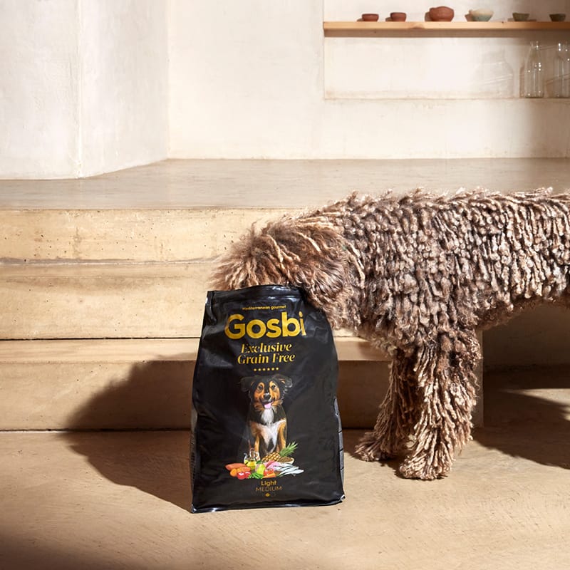 Exclusive Grain Free Dog Adult Medium Light